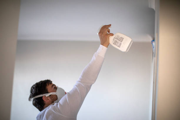 Attic Mold Removal in Oconto Falls, WI